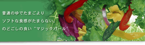 �T���_��